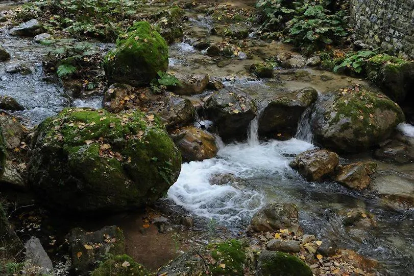 Dimora Storica Hotel Maccarunera-1